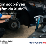 CHĂM SÓC XẾ YÊU – AN TÂM DU XUÂN
