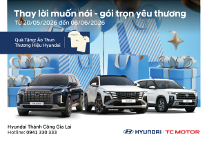 THAY LỜI MUỐN NÓI – GÓI TRỌN YÊU THƯƠNG